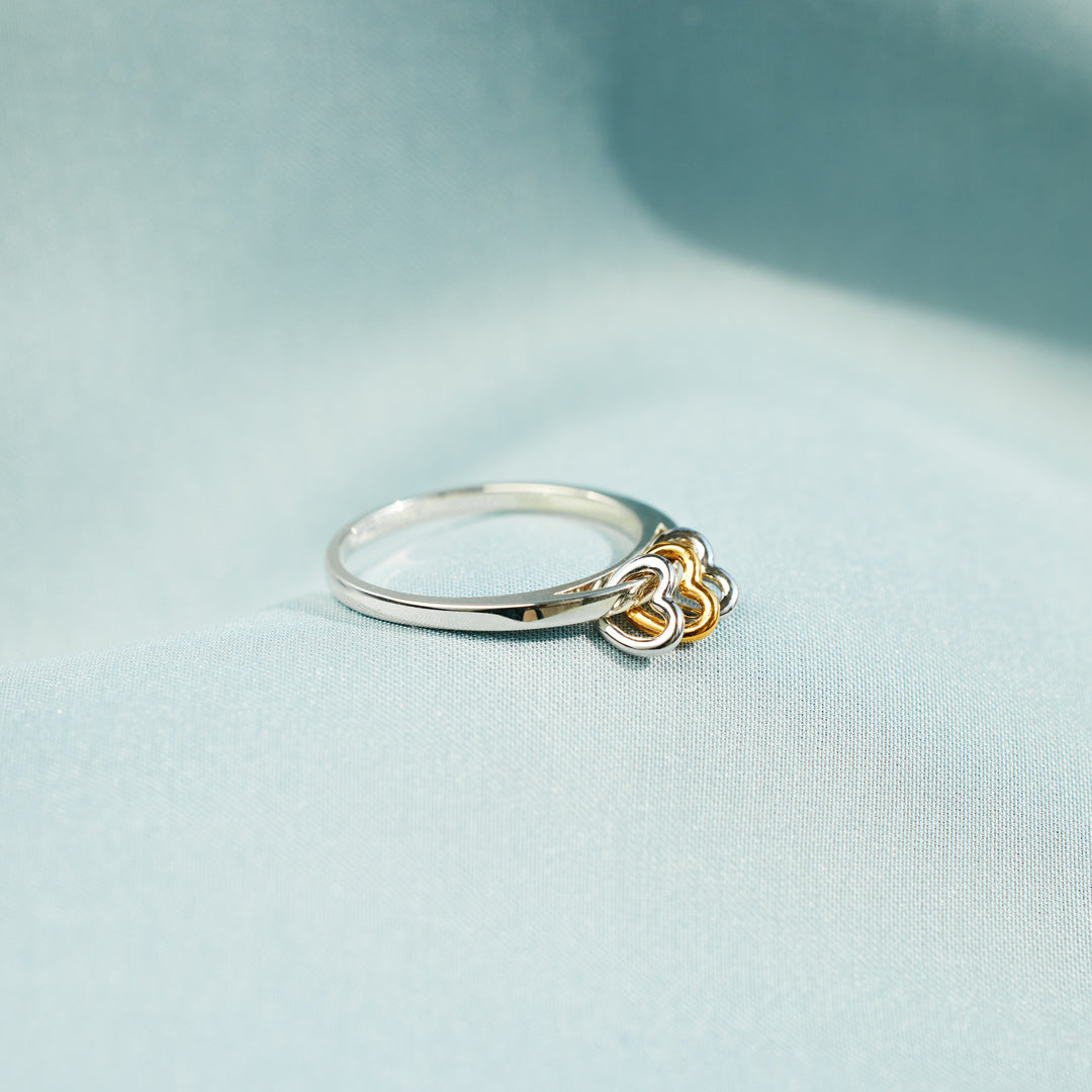 Heart Fidget Ring